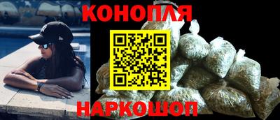 гашик Можга