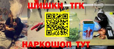 гашик Можга