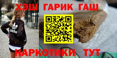 гашик Можга