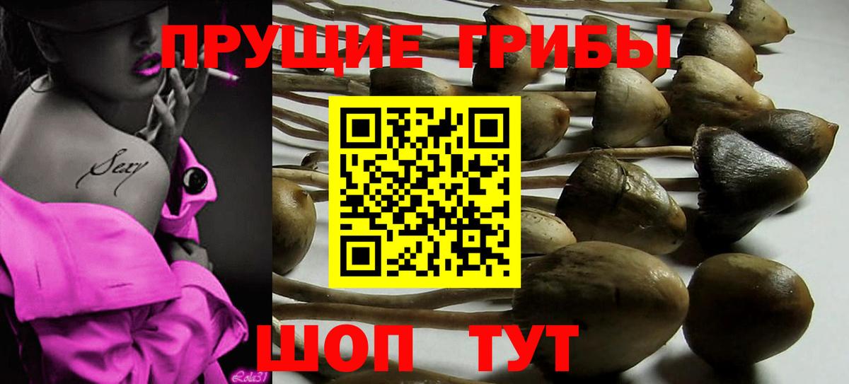 Галлюциногенные грибы GOLDEN TEACHER  Галлюциногенные грибы MAGIC MUSHROOMS  где найти   Вход с VPN  Ухта 